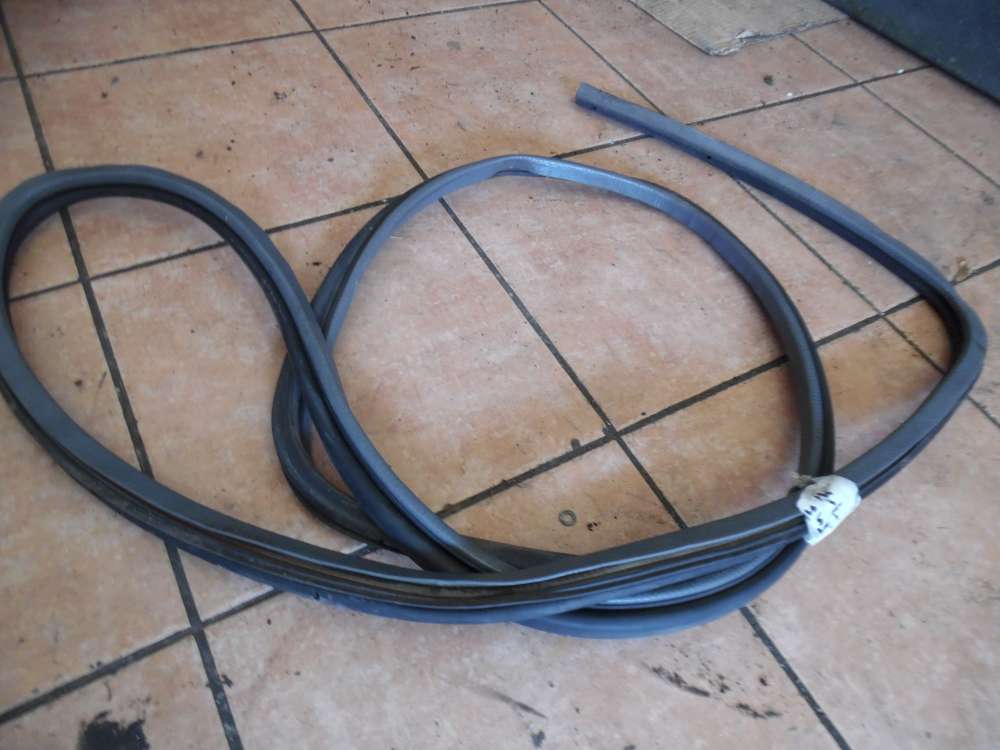 Renault Espace II T�rdichtung Dichtung Vorne Links 