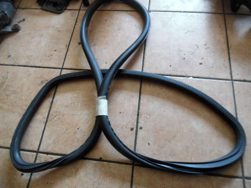 Opel Insignia A T�rdichtung Dichtung Hinten Links