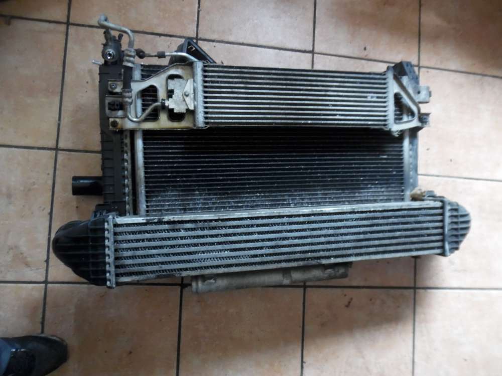 Mercedes-Benz B-Klasse W245 K�hlerl�fter L�ftermotor Komplett A1695004804