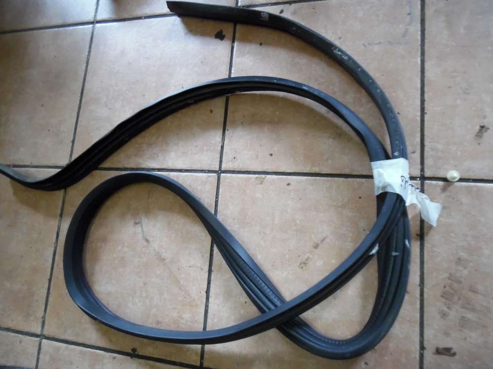 Ford Mondeo II T�rdichtung Hinten Links