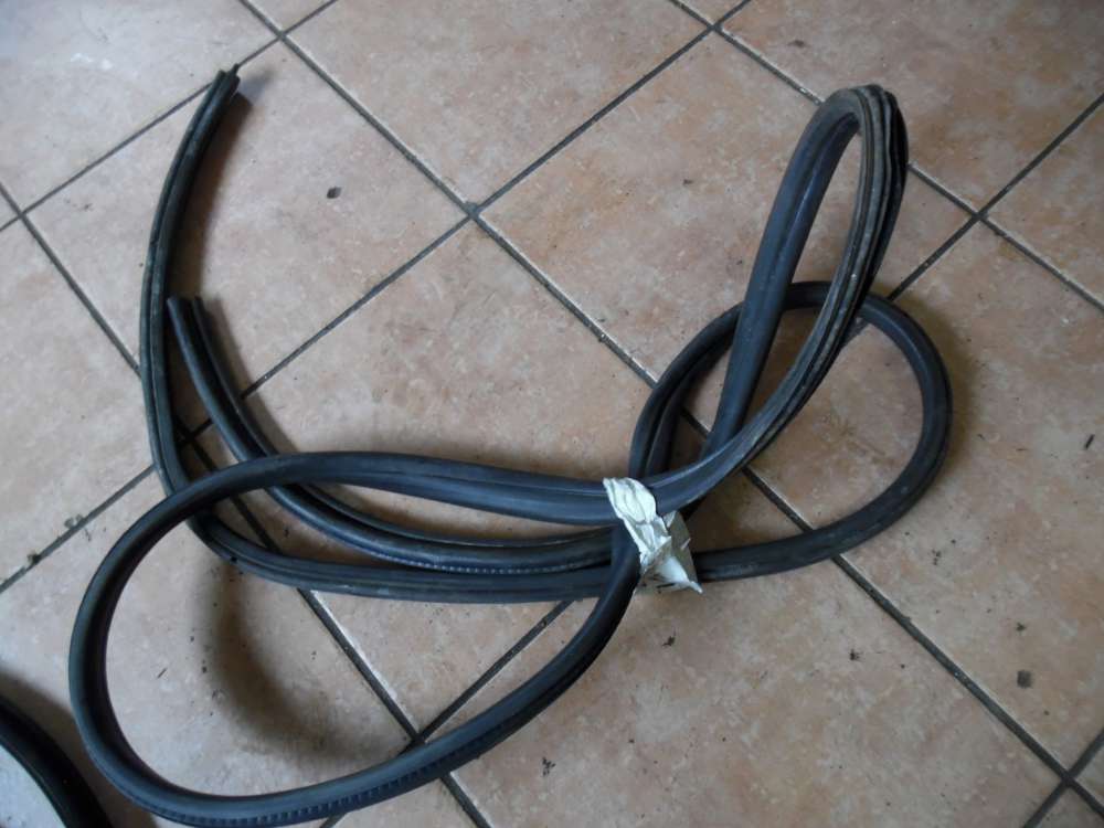 BMW 3er 316i 3-T�rer T�rdichtung Vorne Links