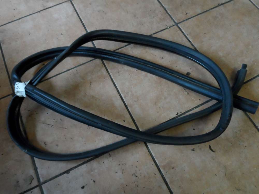 Nissan Almera Tino T�rdichtung Dichtung Hinten Links