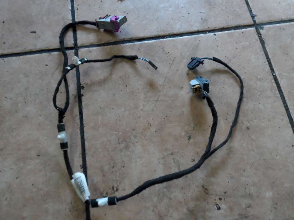 Audi A3 8P T�rkabelbaum Kabelbaum Hinten Links 8P4971693