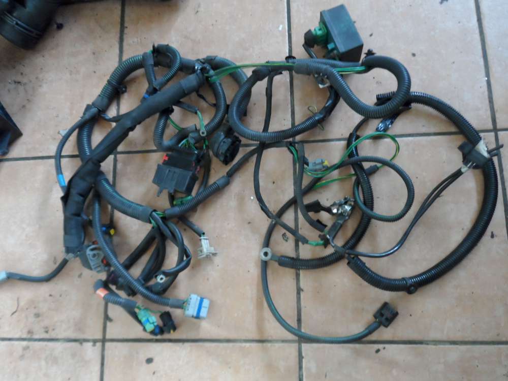 Peugeot 406 Motorkabelbaum mit Gl�hkerzenrelais 6939912580 