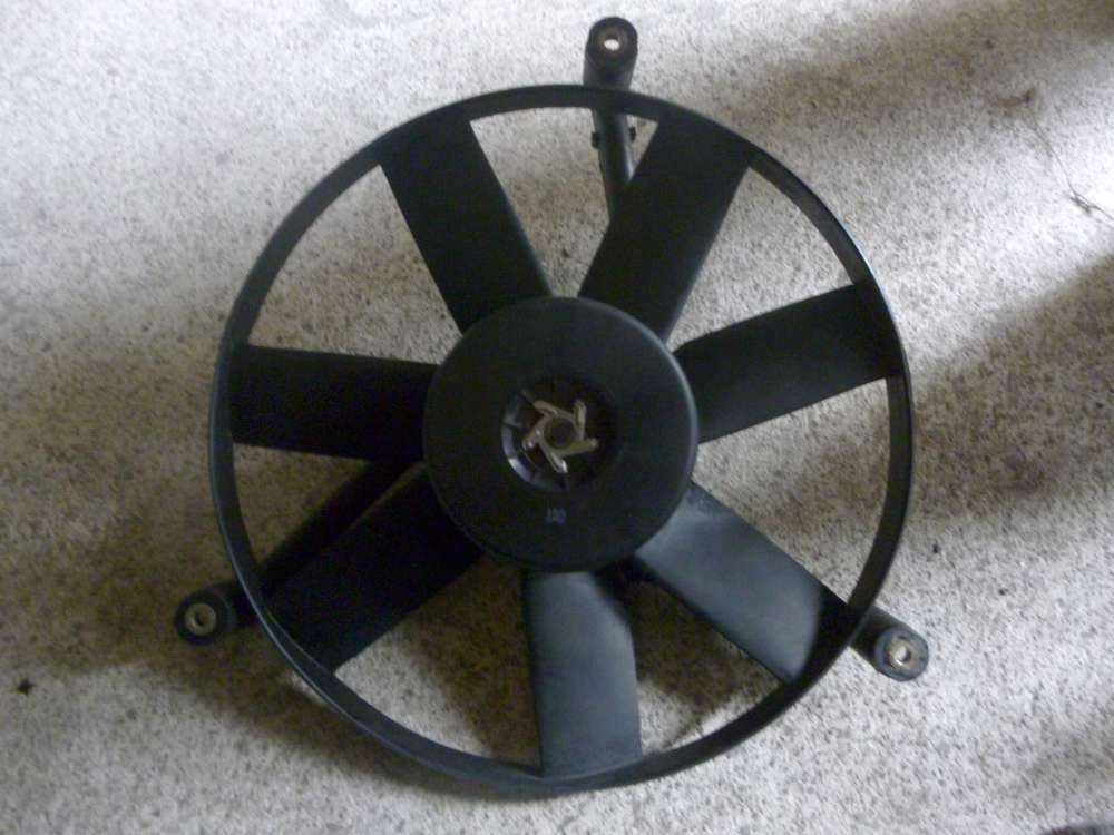 VW Polo 6N Elektrolfter Motorlfter 6N0121209 / 0131107291