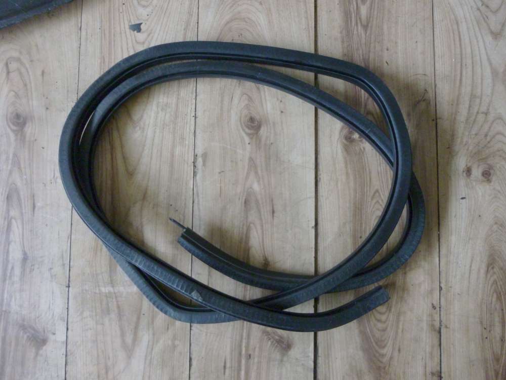 Ford Focus Trdichtung Trgummi Hinten Links